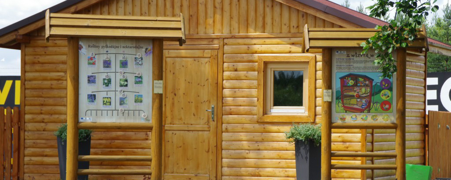 Życie pszczół z bliska