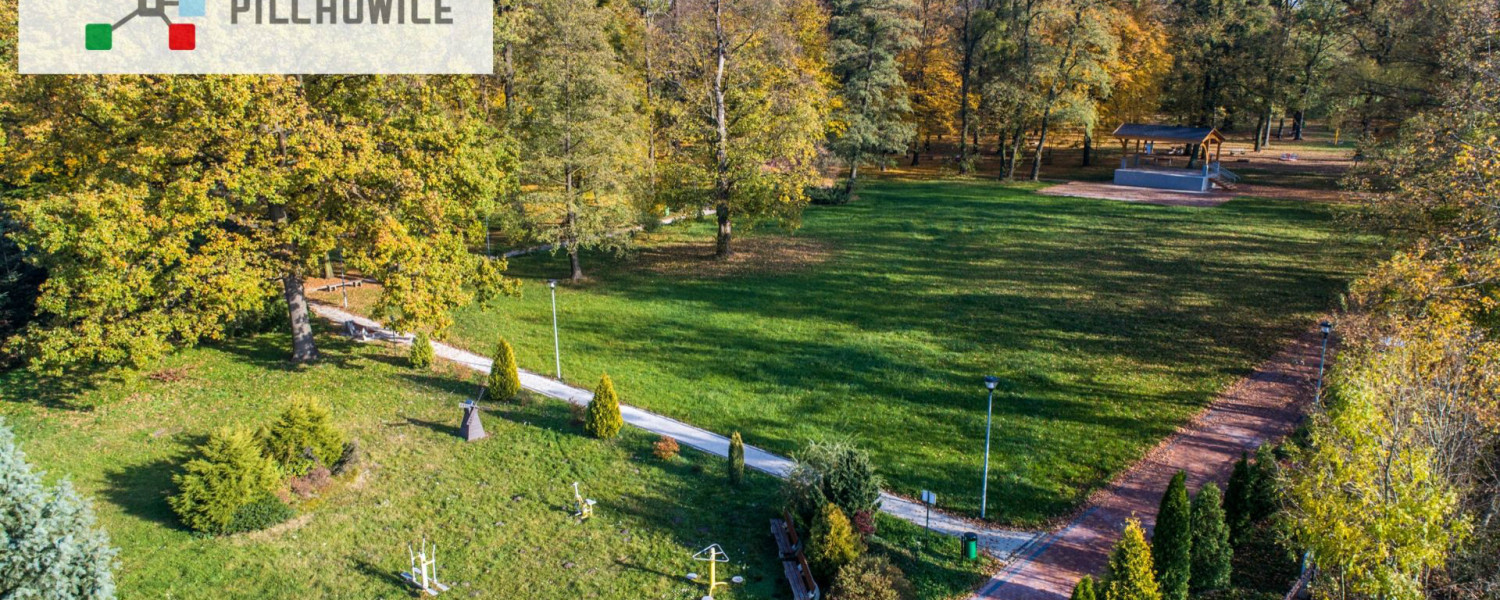 Spotkajmy się w Parku Damrota...