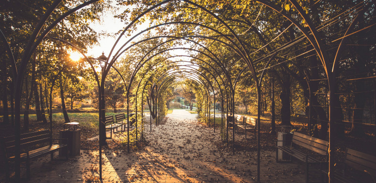 Park dla pokoleń